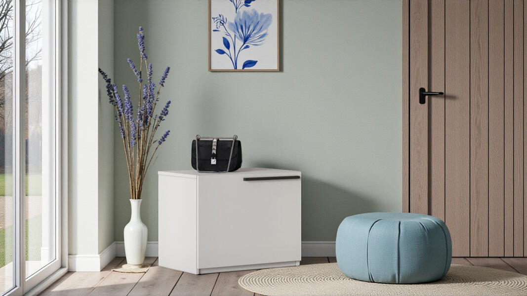 Обувница Лорена Пакс-1 Белый Фасадный 0101 59*43*48 см, Белый   Фиеста