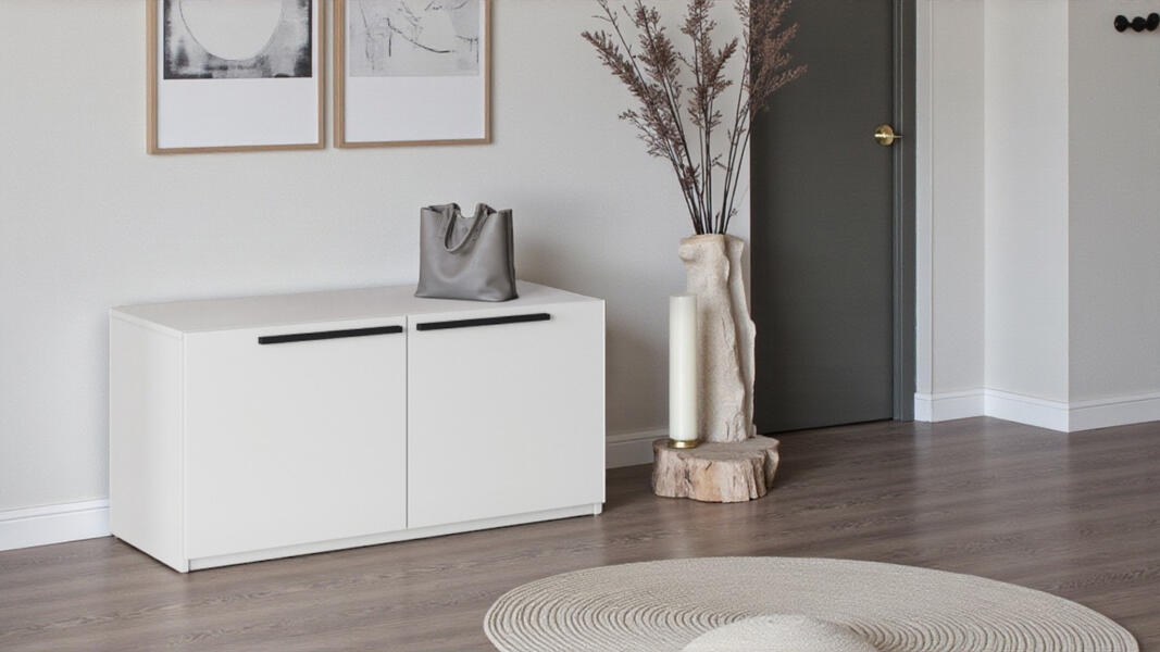 Обувница Лорена Пакс-2 Белый Фасадный 0101 100*43*48 см, Белый   Фиеста