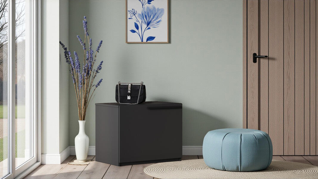 Обувница Лорена Пакс-1 Черный 0190 PE 59*43*48 см, Черный   Фиеста