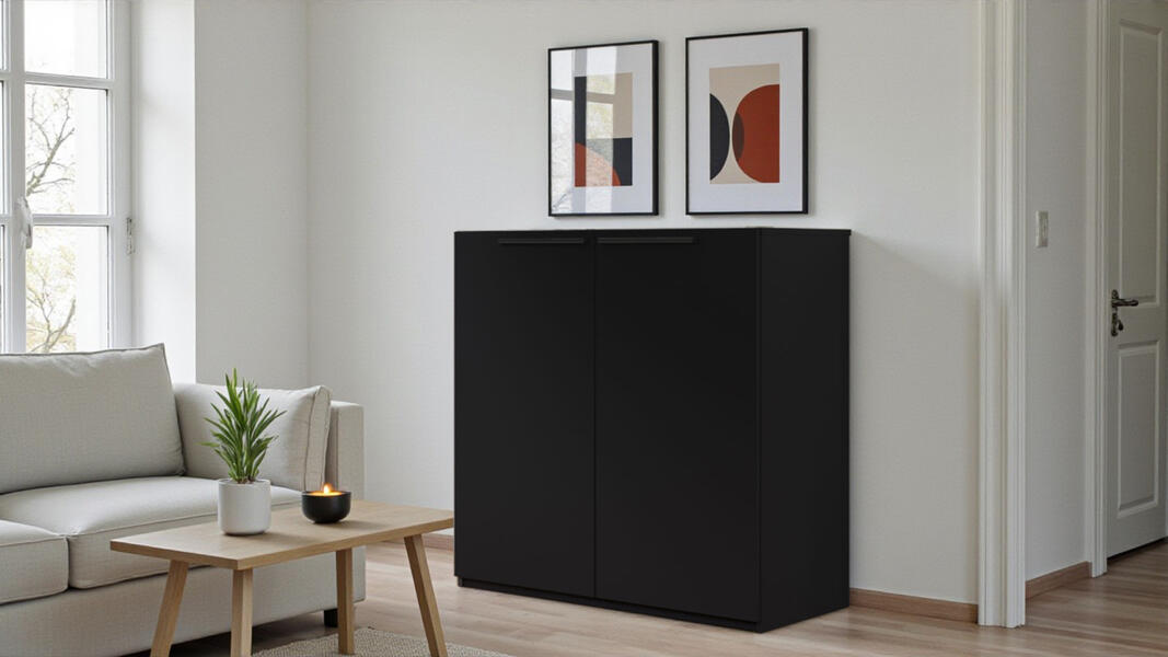 Тумба Лорена Пакс-1 Черный 0190 PE 110*44*90 см, Черный   Фиеста