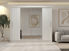 Шкаф-купе Айгерим 2 Белый Фасадный 0101  240*45*240 